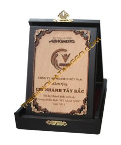 Kỷ Niệm Chương Gỗ Ajinomoto