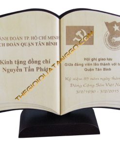 Kỷ Niệm Chương Gỗ Đoàn Thanh Niên