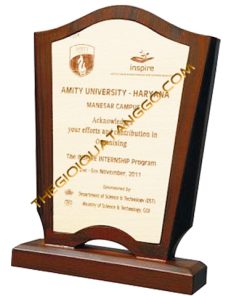 Kỷ Niệm Chương Gỗ Giáo Dục