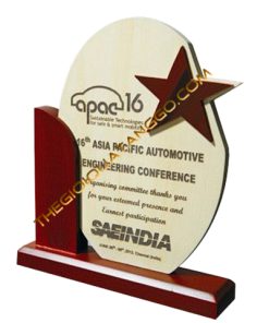 Kỷ Niệm Chương Gỗ Hình Ngôi Sao